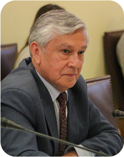 Senador Sandoval destaca incautación de cigarrillos en paso Huemules: “Es un golpe duro al contrabando en nuestra frontera”