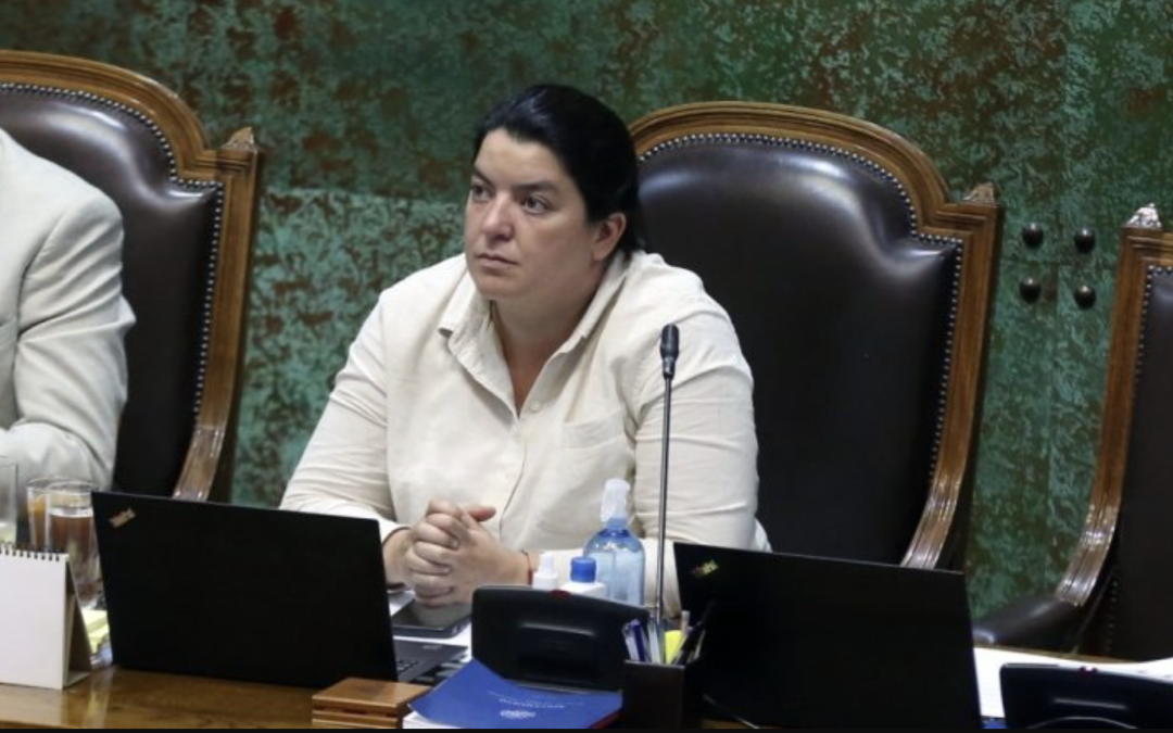 Diputada Natalia Romero tras conclusiones de la mesa técnica del Sistema de Admisión Escolar: “El informe nos dio la razón, el SAE es un tremendo fracaso y se debe corregir”