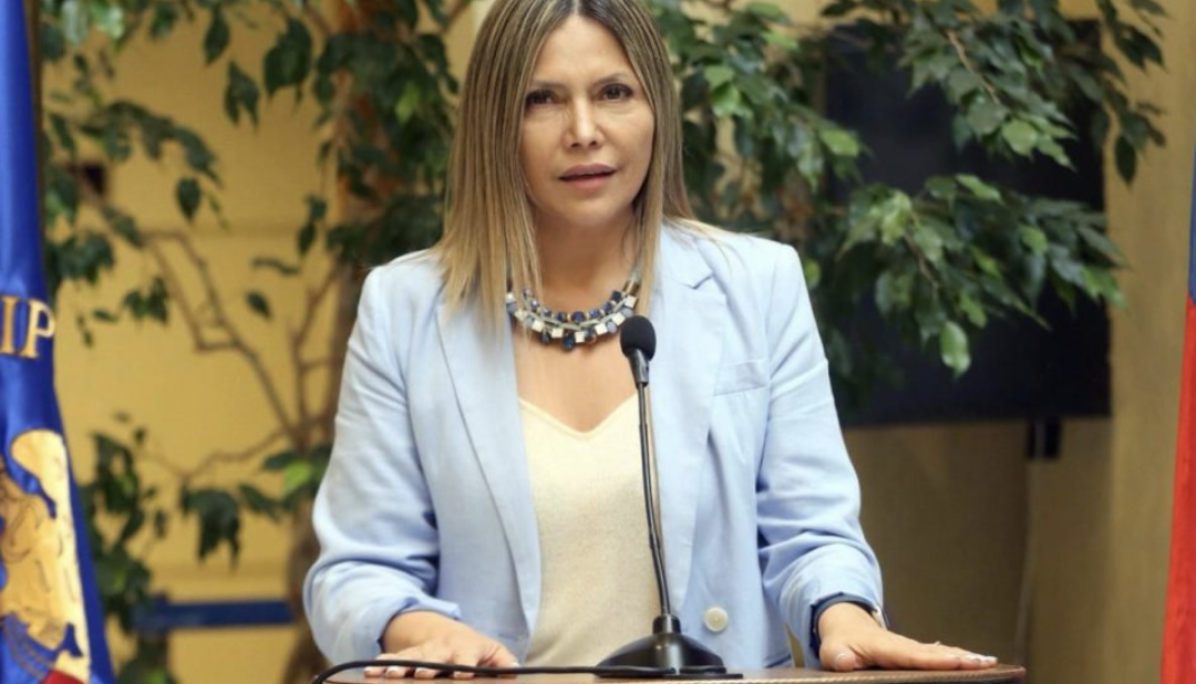 “Ley Bruma”: Diputada Marlene Pérez ingresa proyecto que extiende búsqueda de desaparecidos en alta mar y dispone el uso inmediato de robots submarinos